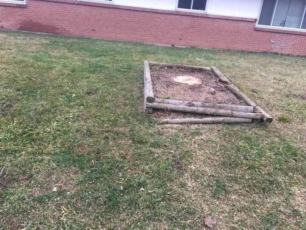 A Small Stump Of Tree | Miamisburg, OH | River Rock Tree Service