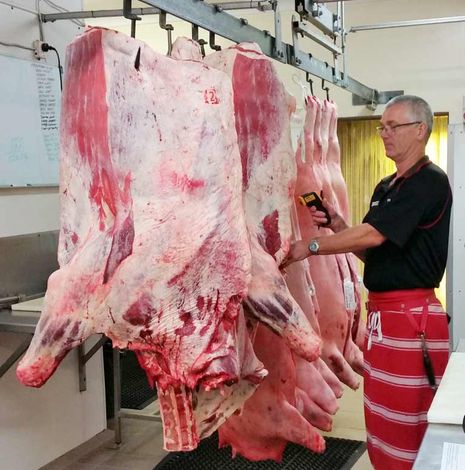 butcher with hanging meats in cool room