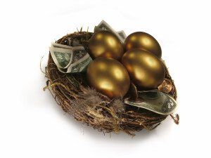 Birds nest with golden eggs and dollar bills inside