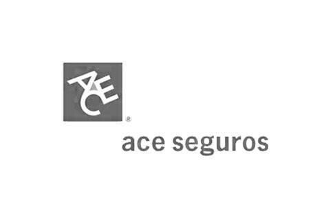 ACE SEGUROS