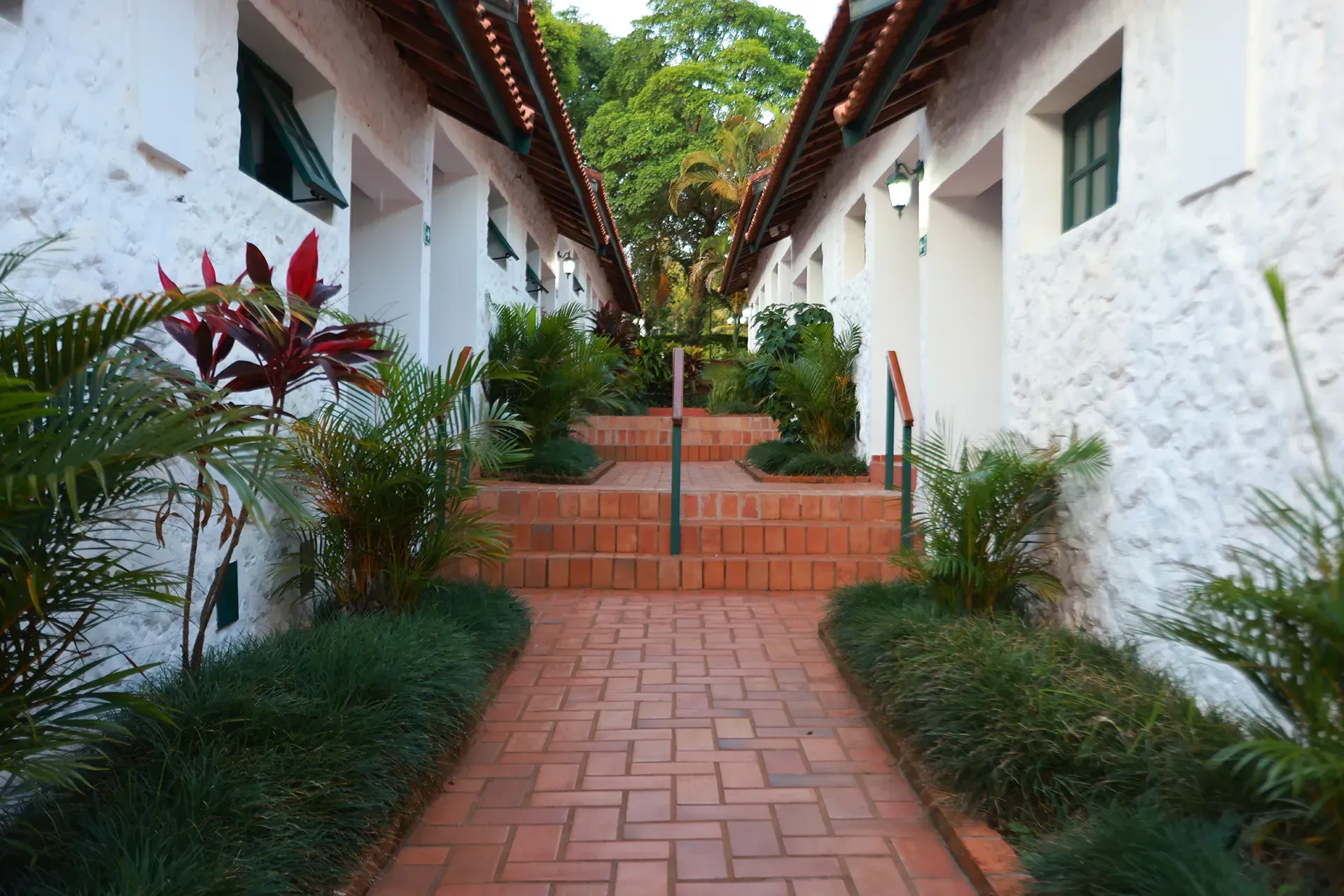 Uma grande piscina com palmeiras ao fundo