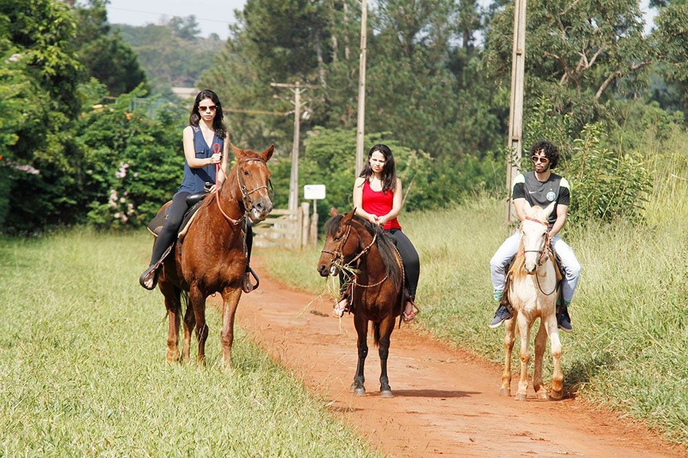 Três pessoas estão cavalgando por uma estrada de terra