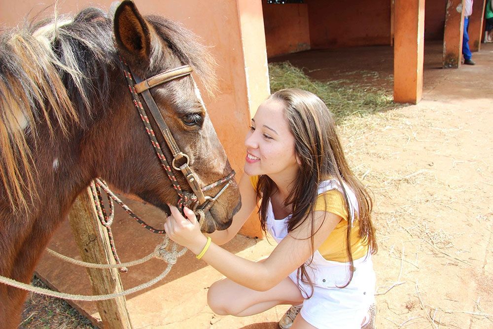 Uma mulher está acariciando um cavalo em um estábulo.