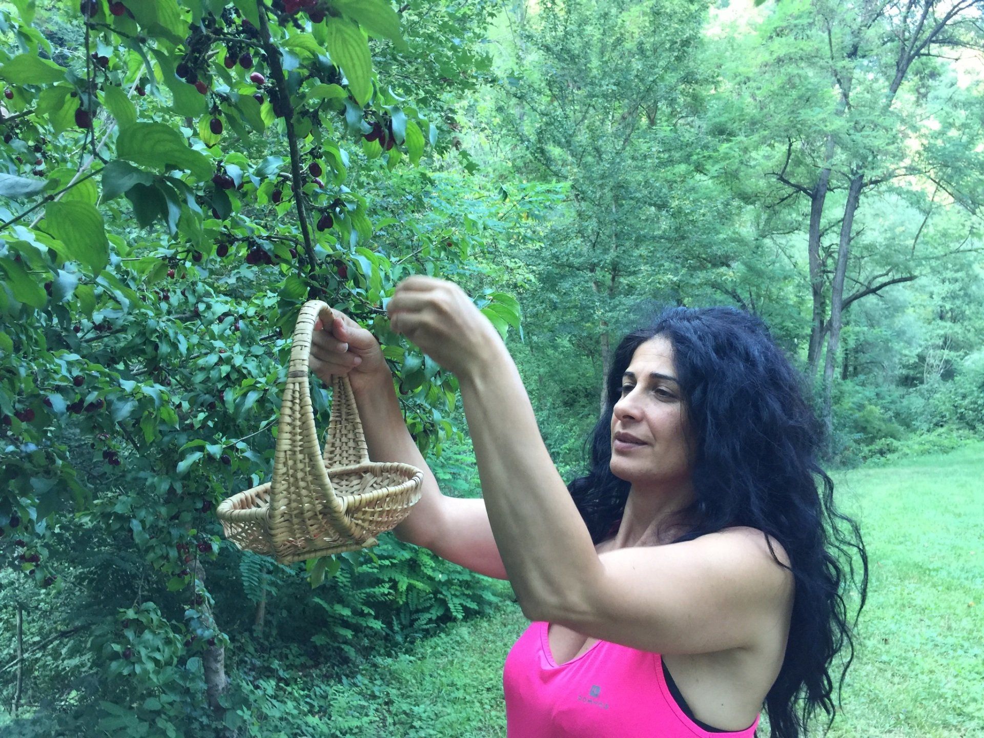 Maria Tripodi, wild ktichen