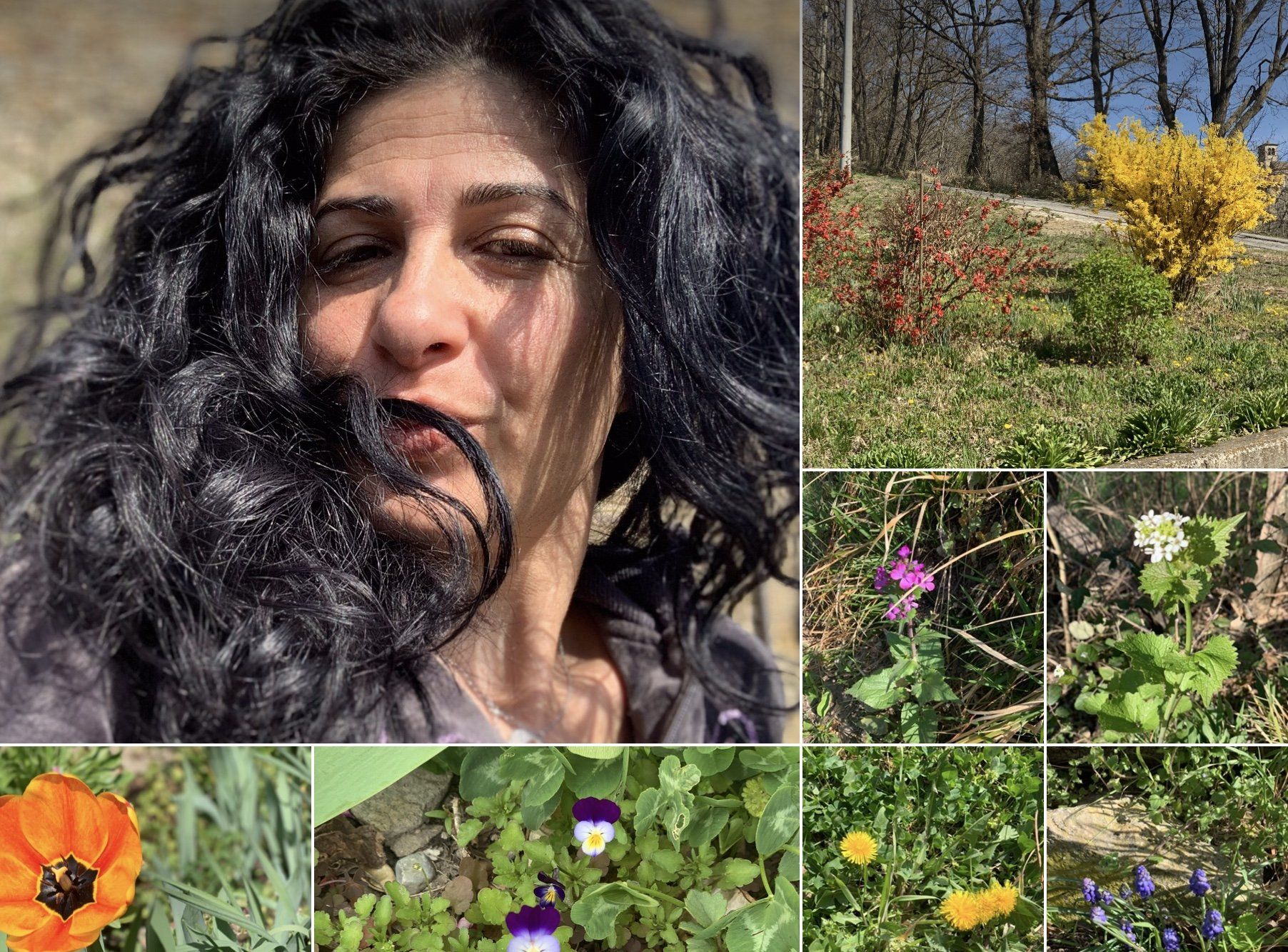 Wild kitchen corsi, corsi cucina, cucina, corsi erbe, corsi food