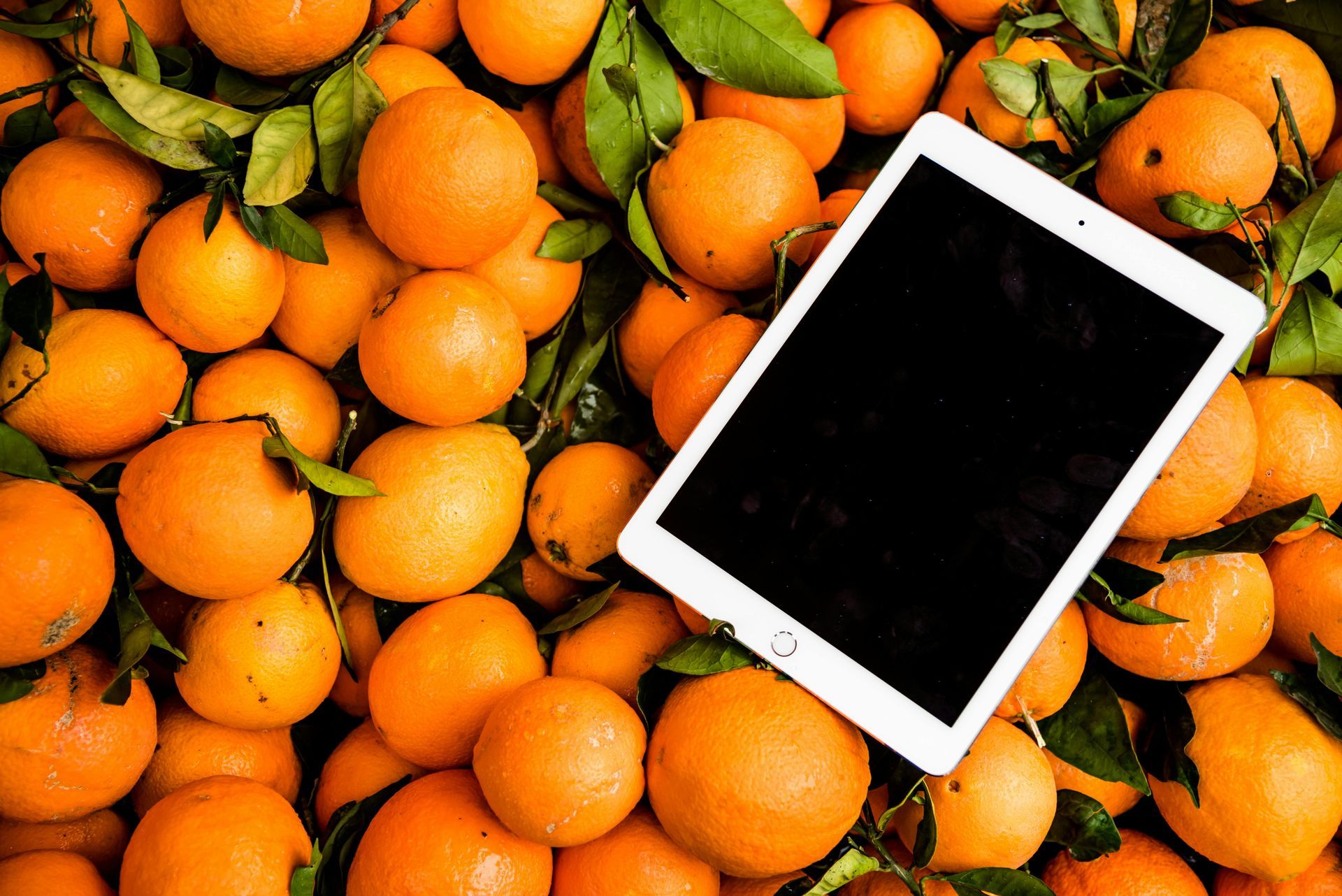 Tablet rests on a bed of oranges, some with green leaves, overhead shot.
