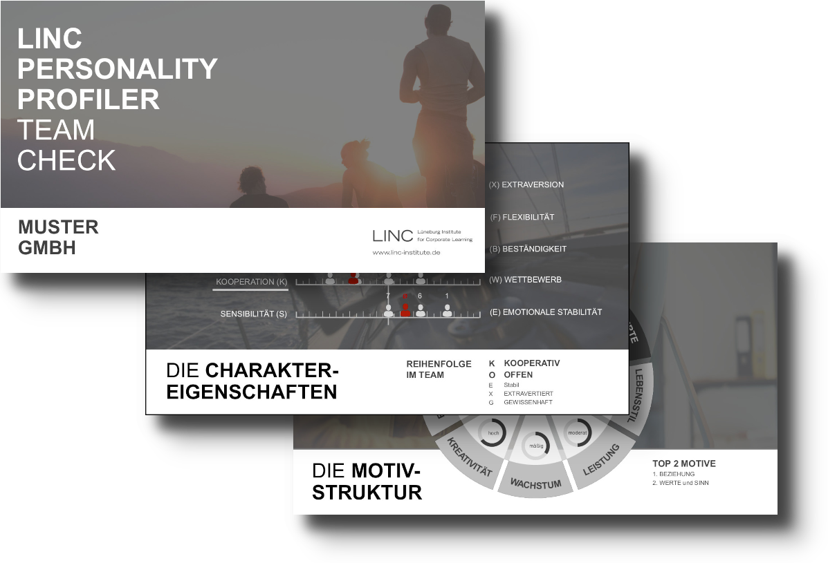 LINC Personality Profiler Team Check: Einblicke in den Aufbau