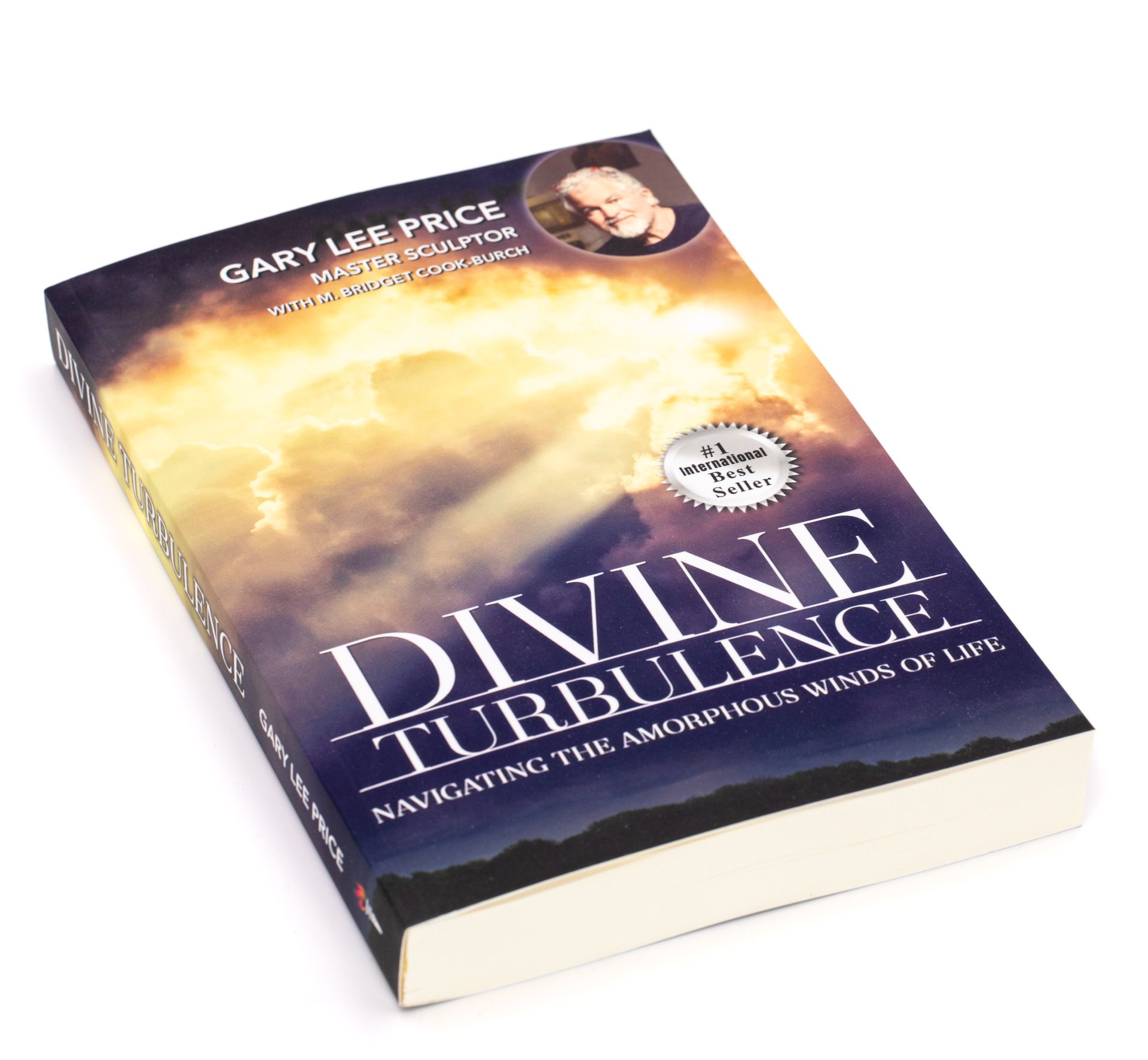 the book, divine turbulence written by Gary Lee Price and co-authored by Bridget Cook-Burch