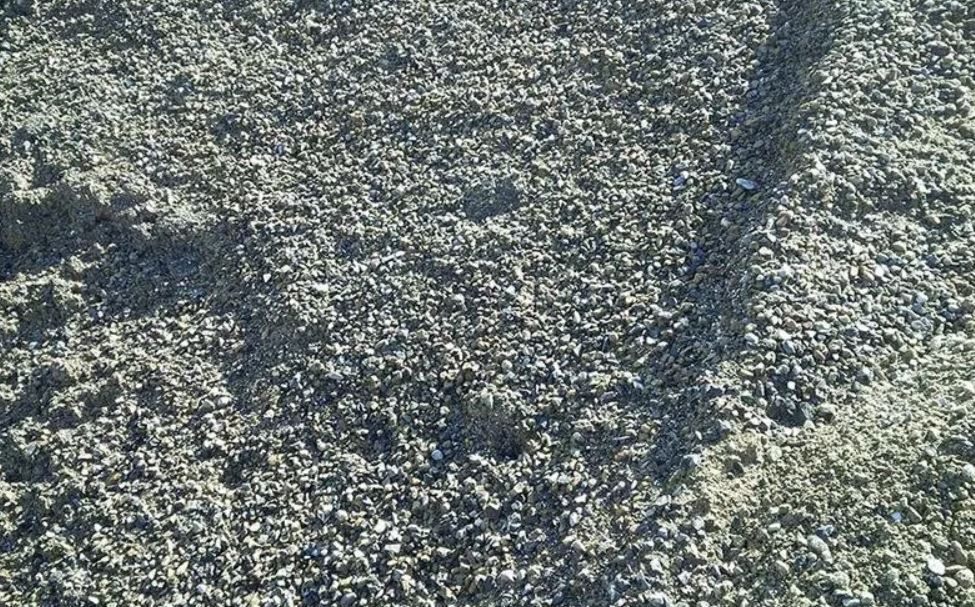 prodotti inerti per edilizia: sabbie, pietrisco, terre e stabilizzanti, massi di arenaria, materiali di recupero La Spezia