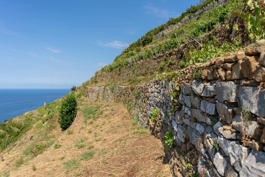 pietre per muri a secco La Spezia
