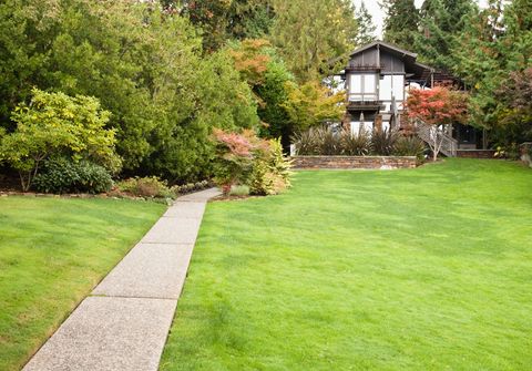 excellent lawn care