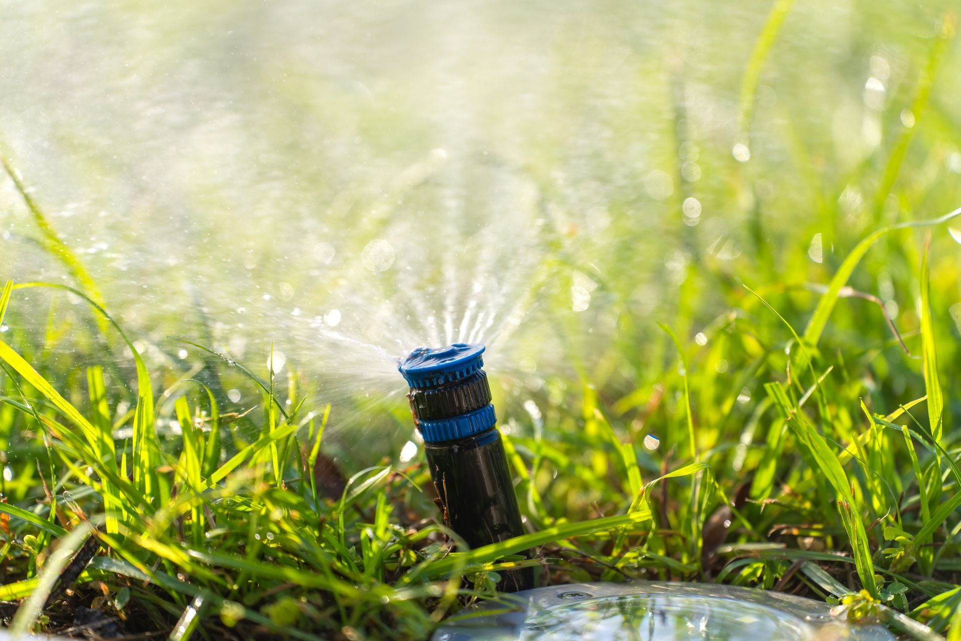Sprinkler & Irrigation Repair