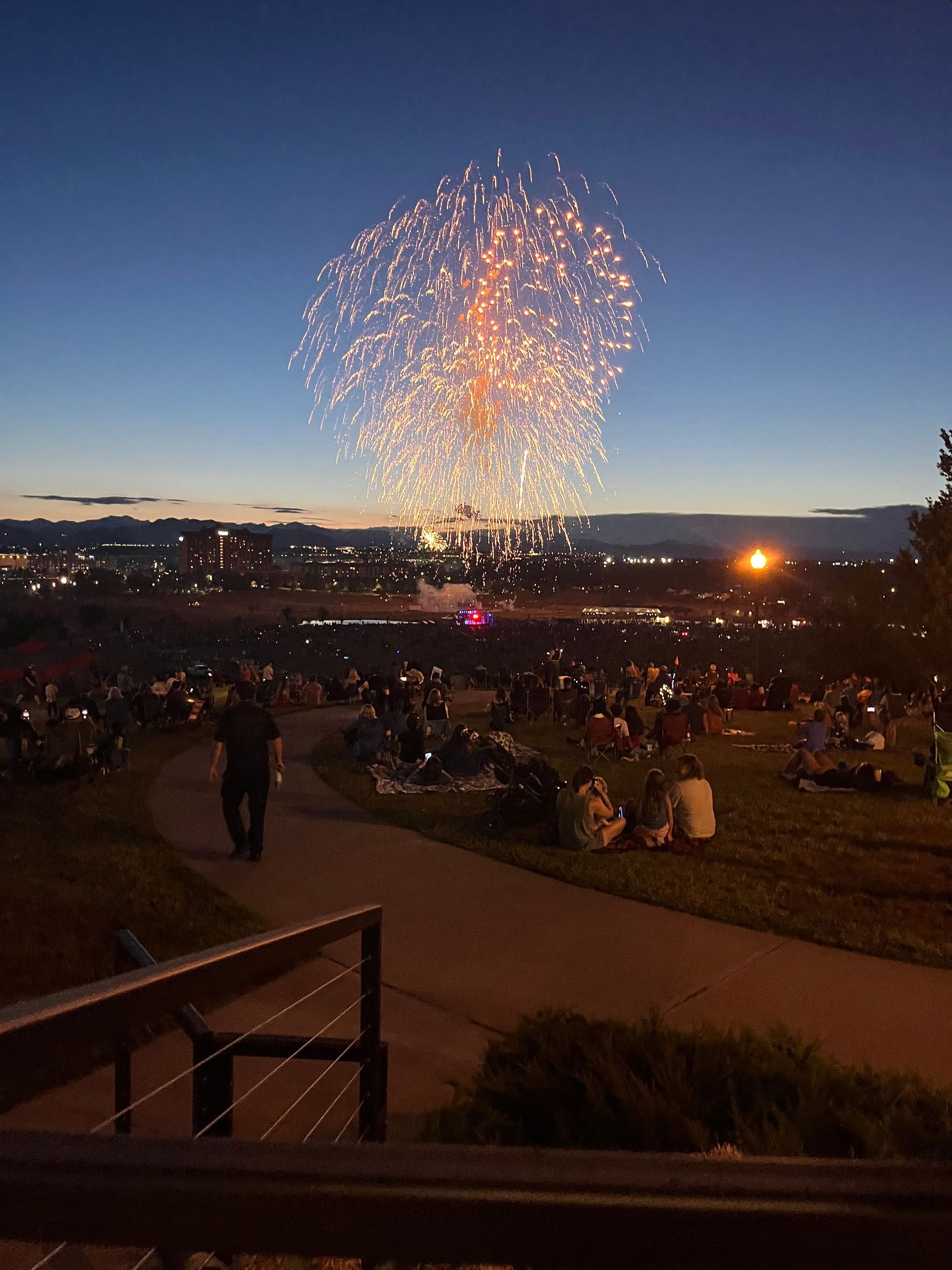 Westminster fireworks show - group transportation 