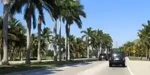 Palm-lined suburban street with cars driving on a sunny day