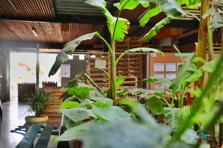 TARIMAS INDUSTRIALES LORÁN + LORÁN