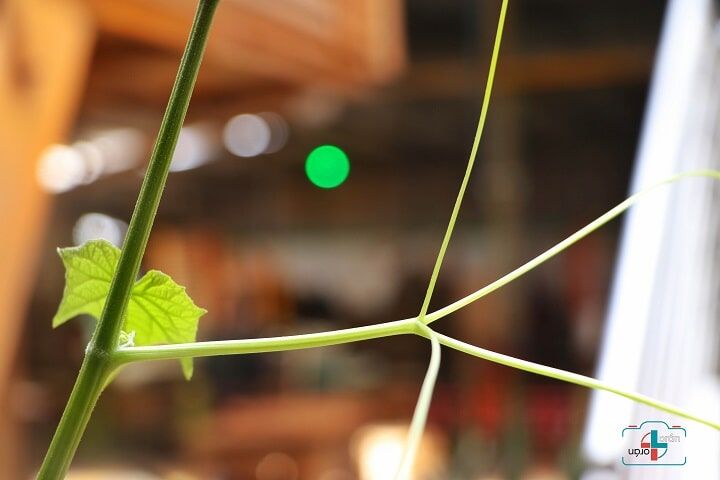 TARIMAS INDUSTRIALES LORÁN + LORÁN