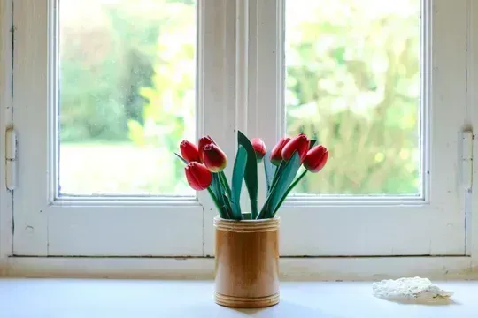 Red tulips in a tan vase on a white windowsill with soft light through a window. — ACG Windows & Glass in Lyndhurst, VIC