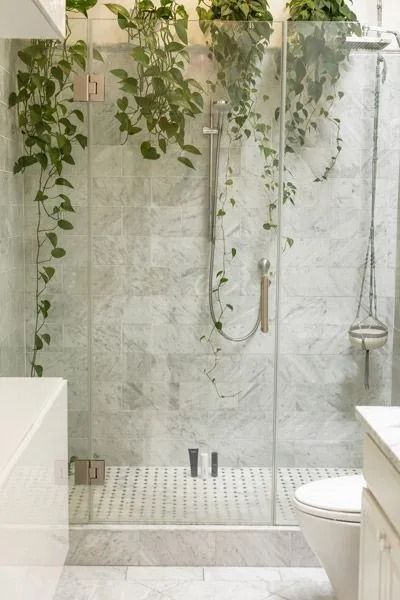 Modern bathroom shower with glass enclosure, white tile, and hanging green vines above. — ACG Windows & Glass in Latrobe Valley, VIC
