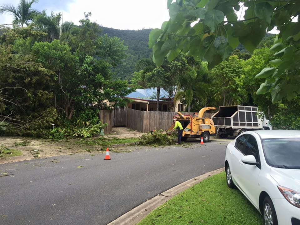 A Pile Of Branches And Leaves Laying On The Ground Next To A Tree — Tree Arrangements in Stratford, QLD