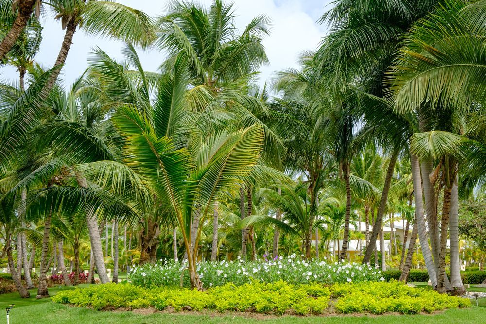 A Person is Spraying a Lawn With a Sprayer — Tree Arrangements In Stratford, QLD