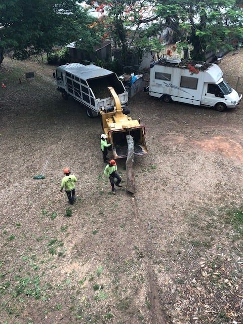 Yellow Loader Removing Brush from A Muddy Field — Tree Arrangements in Stratford, QLD