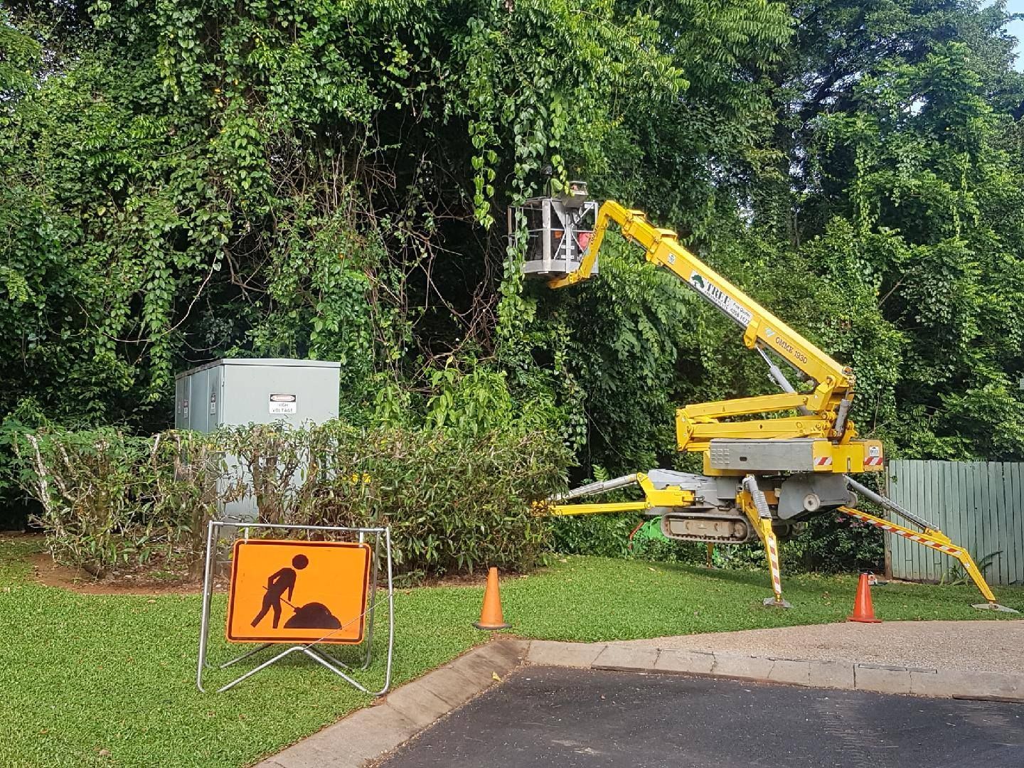 A Yellow Crane Is Cutting A Tree Next To A Construction Sign — Tree Arrangements in Stratford, QLD