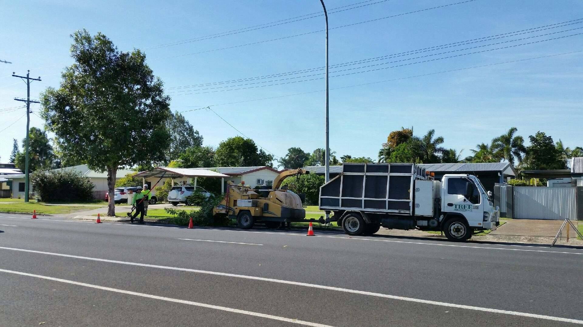 Two Trucks Are Parked On The Side Of The Road — Tree Arrangements in Stratford, QLD