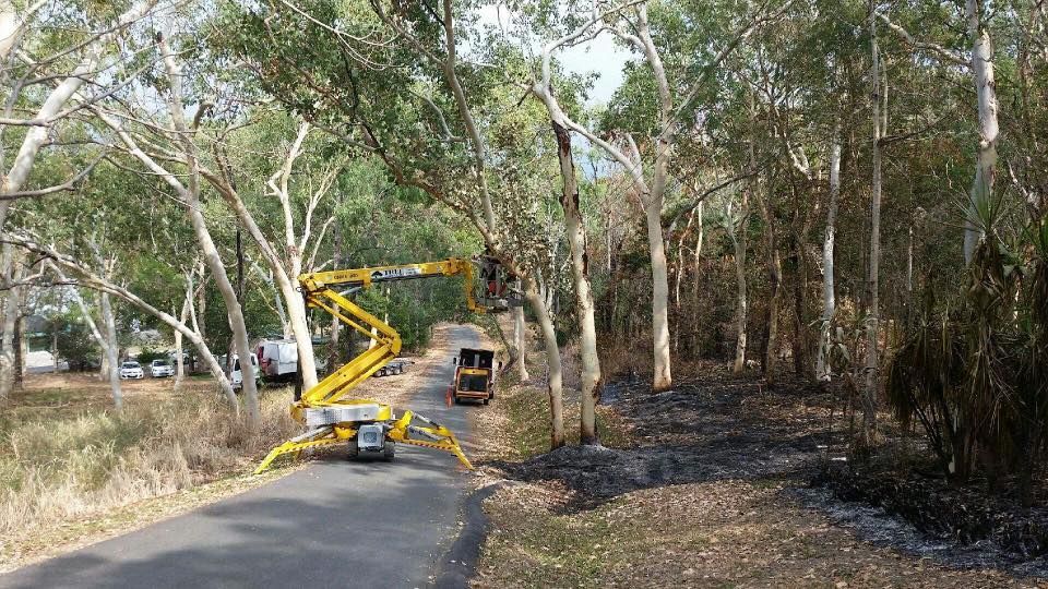 A Yellow Crane Is Cutting Trees On The Side Of A Road — Tree Arrangements in Stratford, QLD