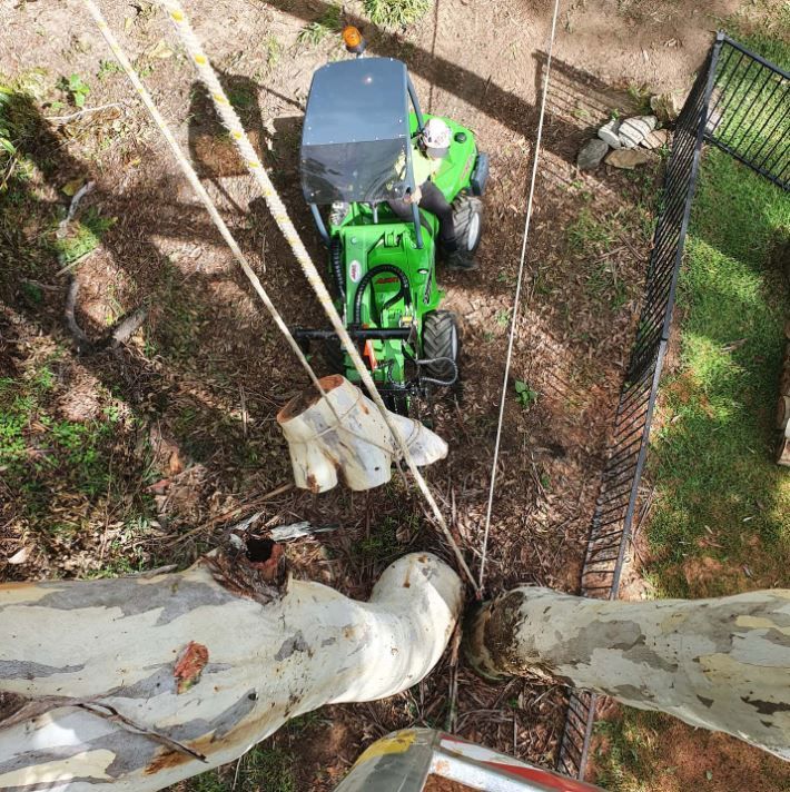 An Aerial View Of A Tree Stump Being Removed By A Green Tractor — Tree Arrangements in Stratford, QLD