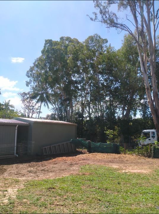 A Shed Is Sitting In The Middle Of A Grassy Field Surrounded By Trees — Tree Arrangements in Stratford, QLD