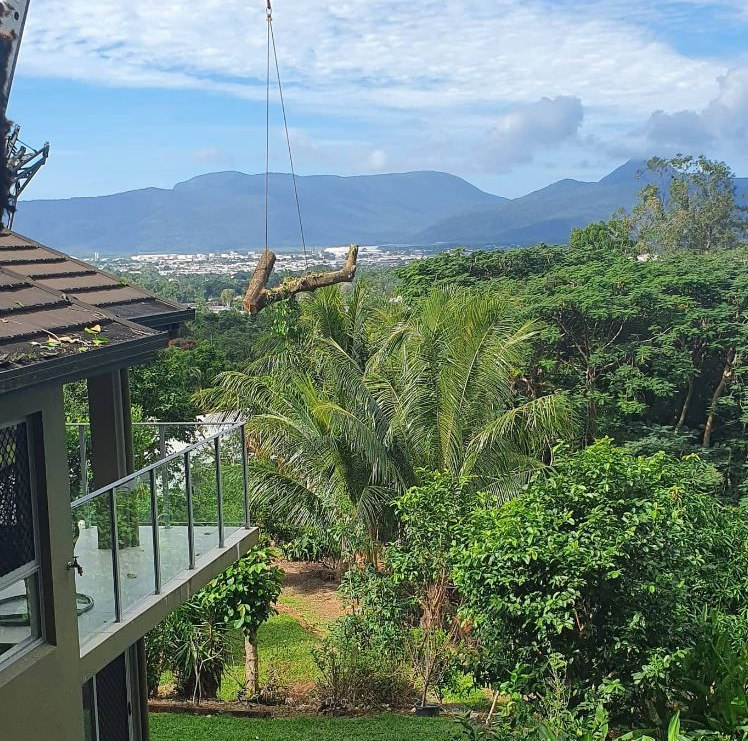 A Crane Is Lifting A Tree Branch Over A Balcony — Tree Arrangements in Stratford, QLD