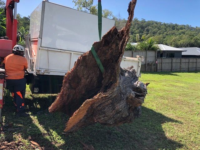 A large tree stump is lifted by a crane into a truck, with a worker nearby on grassy ground — Tree Arrangements in Stratford, QLD
