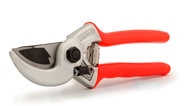 A Pair Of Pruning Shears With Red Handles On A White Background — Tree Arrangements in Stratford, QLD