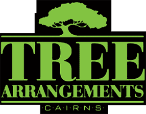 Professional Arborists In Cairns