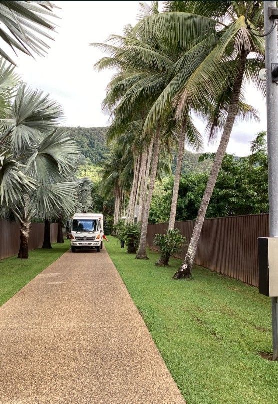 Three Palm Trees in Front of a House on a Cloudy Day — Tree Arrangements In Stratford, QLD