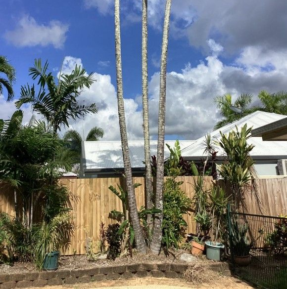 A Stump Grinder is Sitting in the Grass Next to a Fence — Tree Arrangements In Stratford, QLD