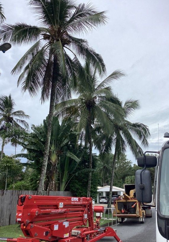 A Red Crane is Sitting on the Side of the Road Next to a Palm Tree — Tree Arrangements In Stratford, QLD