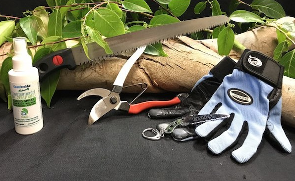 A Pair Of Gloves , A Pair Of Scissors , A Spray Bottle And A Saw Are On A Table — Tree Arrangements in Stratford, QLD 