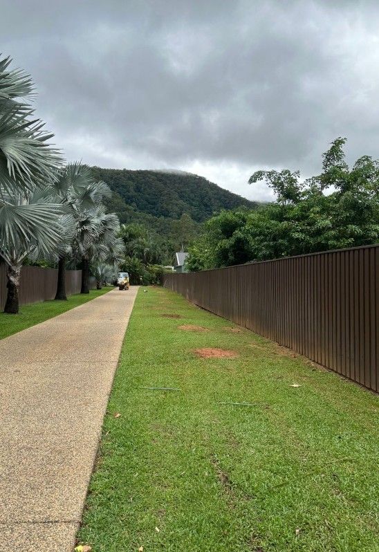 There is a Fence Along the Side of the Road — Tree Arrangements In Stratford, QLD