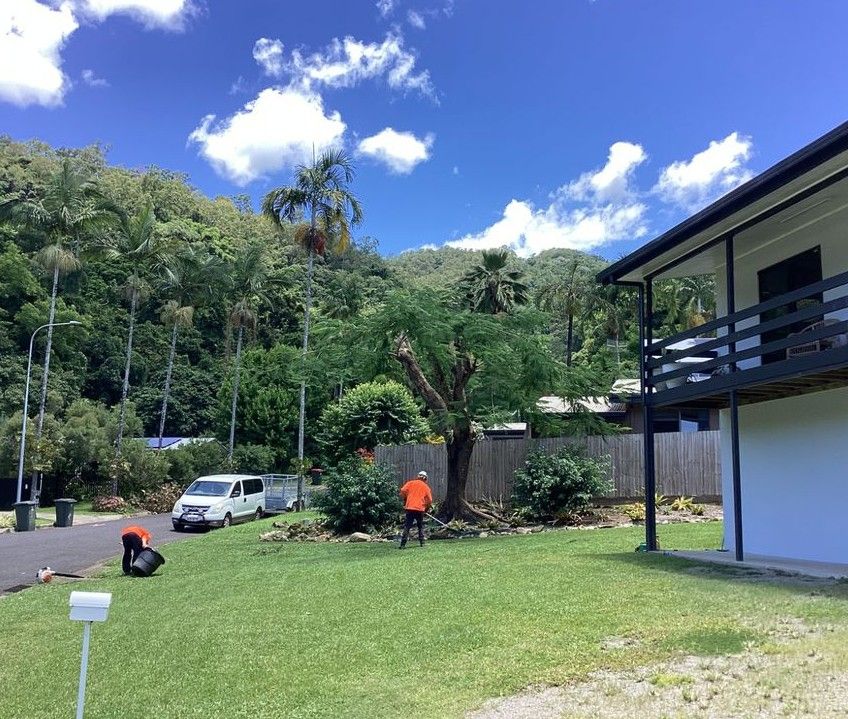 A Man Is Standing Next To A Large Fallen Tree — Tree Arrangements in Stratford, QLD