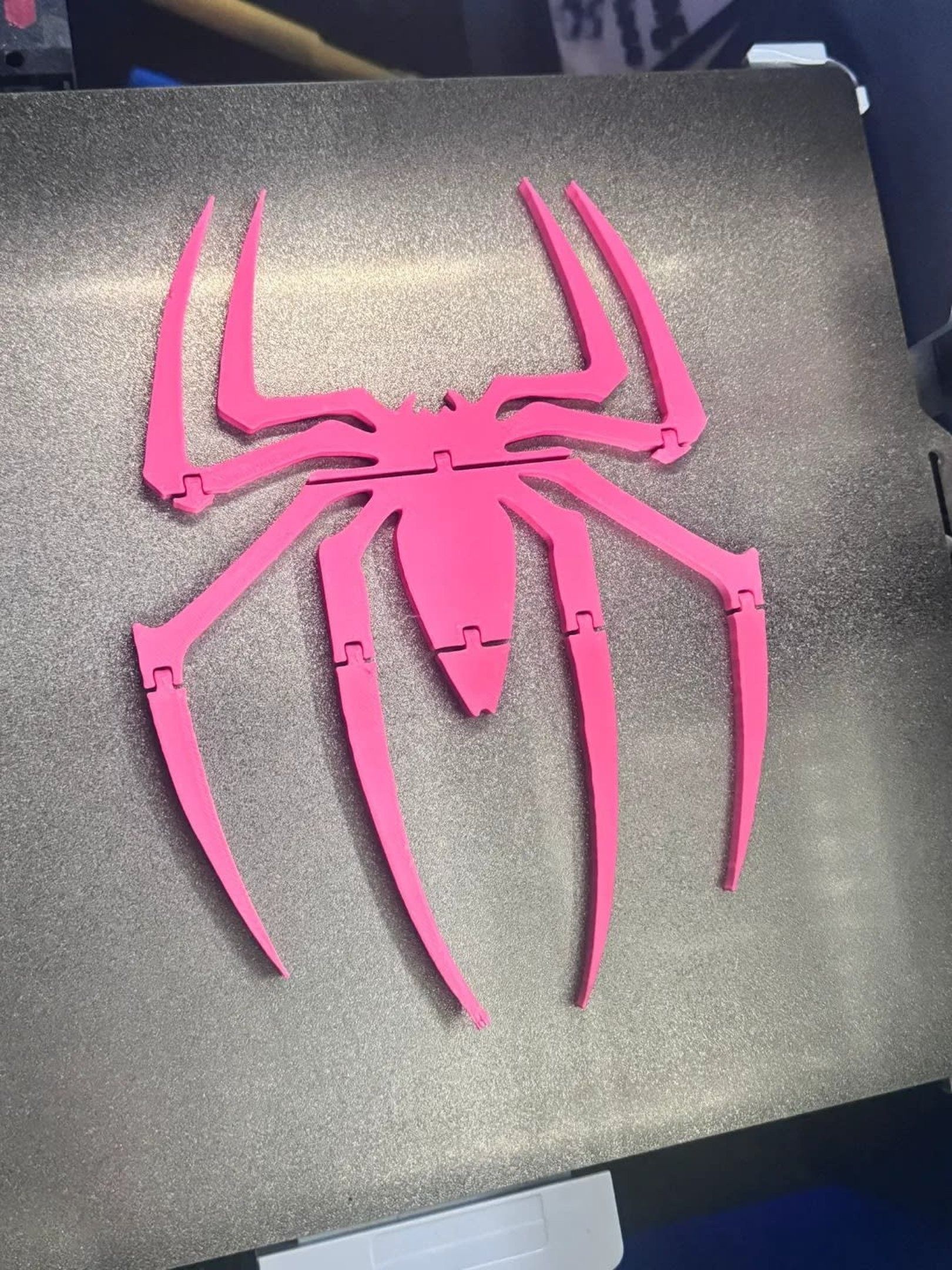 Spider Flexible Fridge Magnet