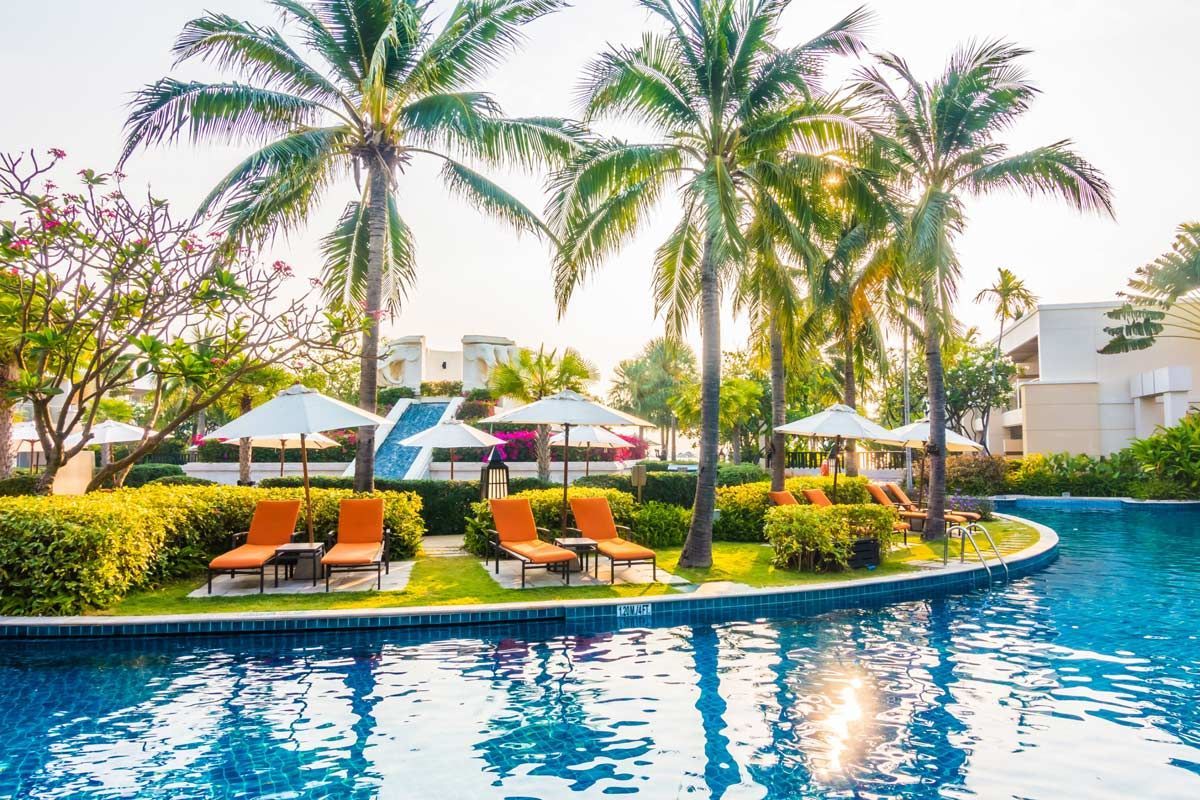 Tropical resort showing pool chairs