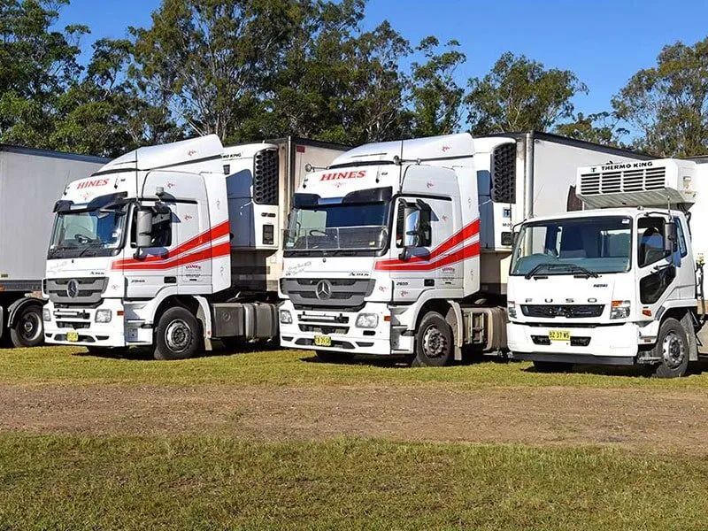 Three White Trucks With Red Stripes Parked on Grass; Trees — Hines Logistic Pty Ltd In Forster, NSW