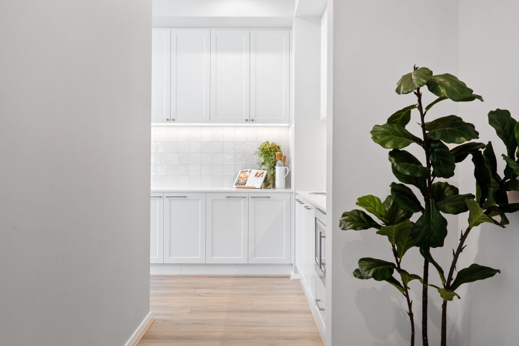 Bright hallway leading to a white kitchen with a potted plant on the right