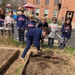 Helping out at the School Garden