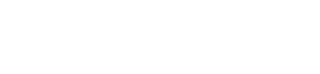 Bay Eye Center logo
