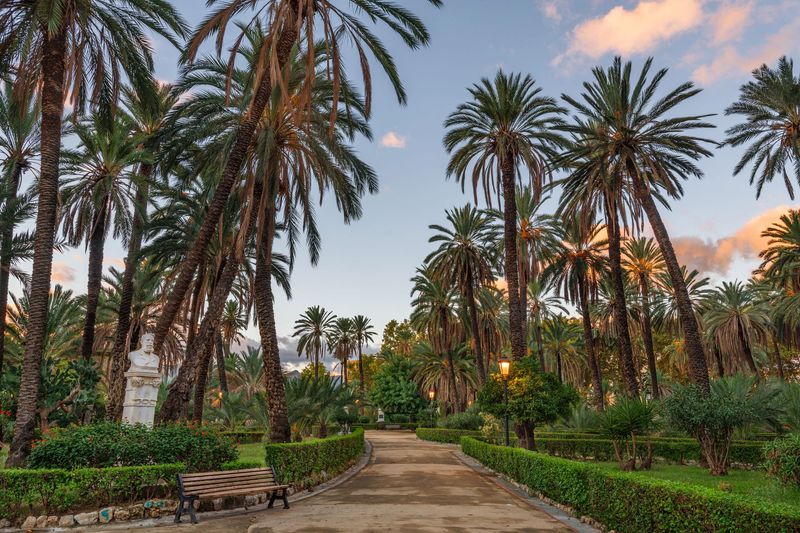 Un sentiero lastricato attraversa un parco fiancheggiato da palme e siepi ben curate