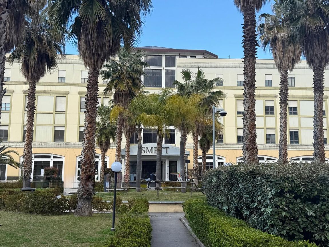 L'edificio dell'ospedale ISMETT di Palermo, circondato da palme, siepi verdi e un vialetto lastricato.
