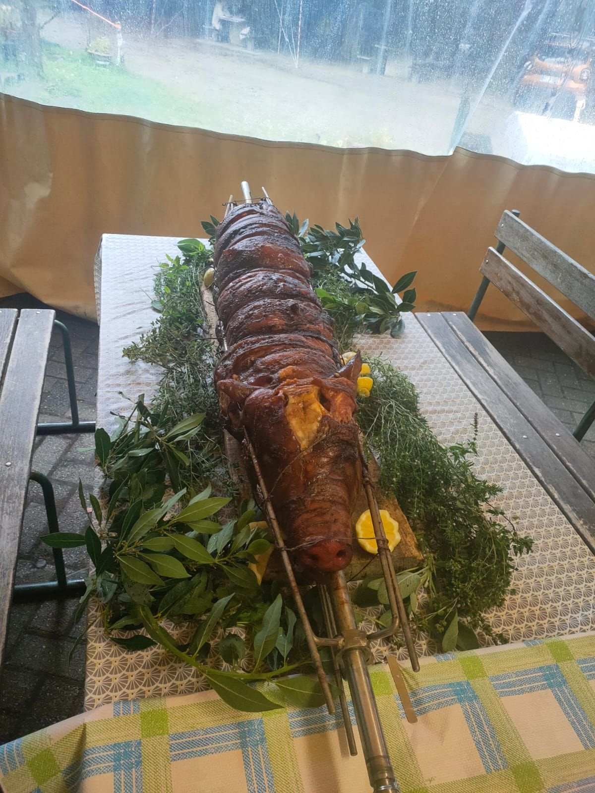 macelleria baldo porchetta