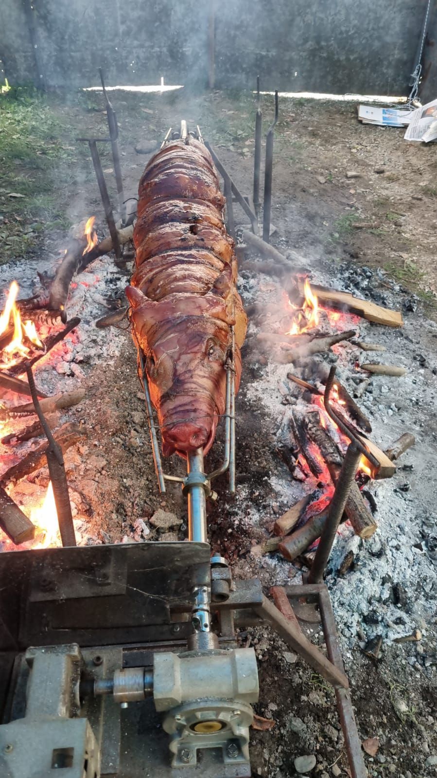 macelleria baldo porchetta